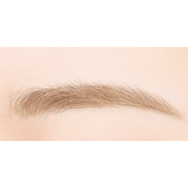 canmake-fit-styler-eyebrow 2