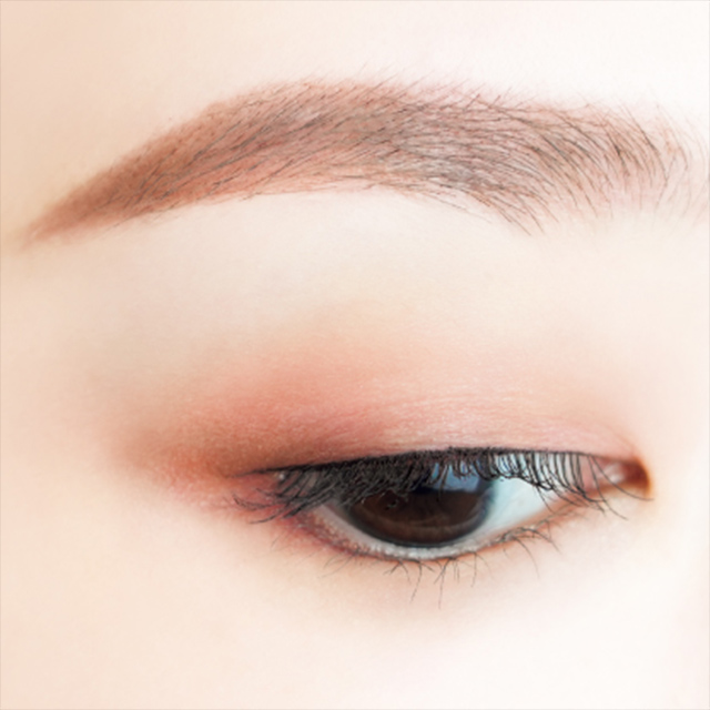 canmake-perfect-multi-eyes 3