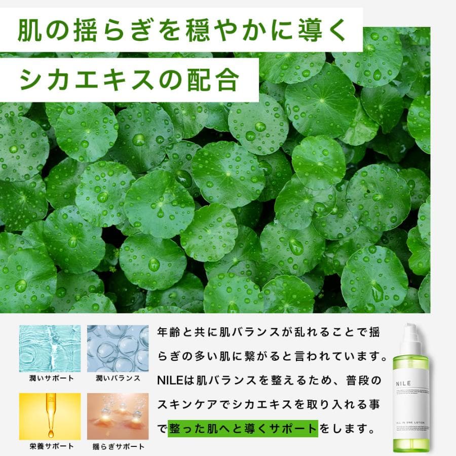4 役合一 機制說明