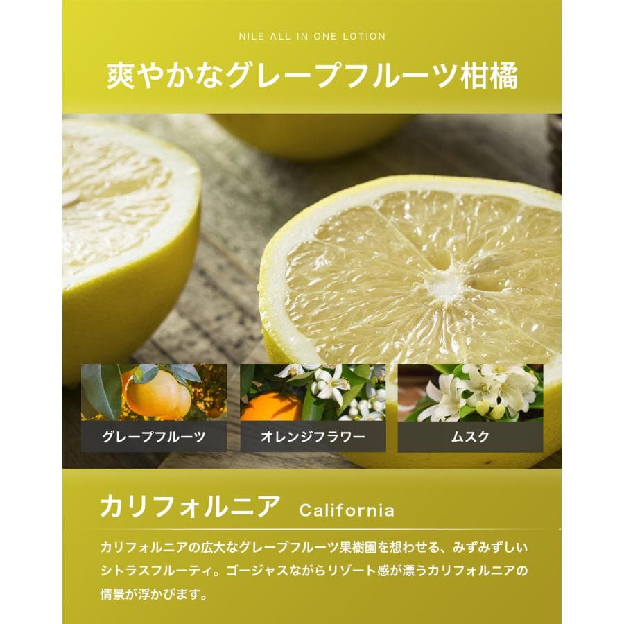 日本國內生產說明